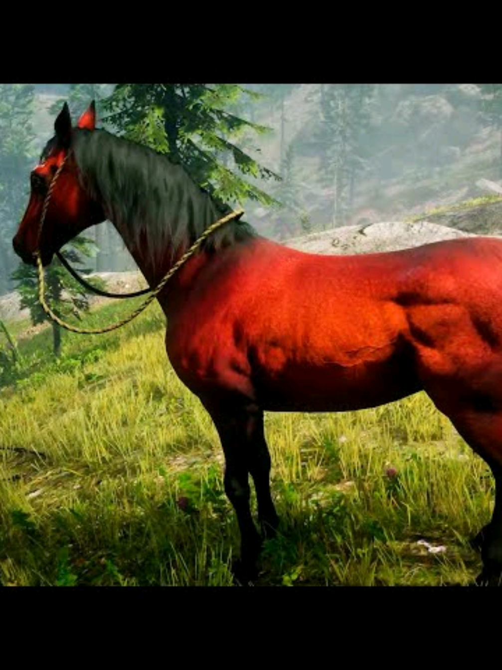 CABALLO ARABE ROJO#reddeadredemption2 #capcut #fyp #juego #vaquero #caballos 