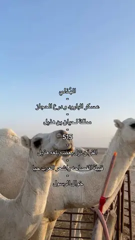 عسكر البارود☝🏻☝🏻 #هذيل #fyp #عسكر_البارود #4u #foryoupage #viral 