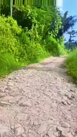 Penghubung jalan Kabupaten Brebes - Cilacap Rusak Parah, Lokasi Desa Banjarsari #jalanrusak  #jalankabupaten