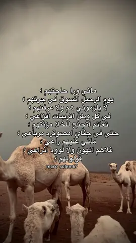 ماني ورا حاجتهم 🤎🔥.#fyp #شعر_ليبي #foru #ع_فاهق #طبرق #سبها_ليبيا_الجنوب_الليبي #هواجيس #fypシ゚ #طبرق_ليبيا 