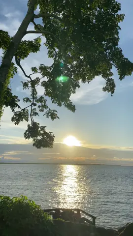 #chubina #vinland #sunset #nature #fyp 