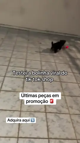 Faça seu pet feliz!! #PetsOfTikTok #brinquedopet #cachorrosengraçados 