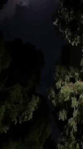 القارئ محمد علي سليمان _Mohamed Aly Soliman #quran_alkarim #quran #قران_كريم #alquran 