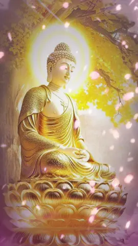 Mỗi ngày thực hành  Một ý nghĩ thiện,  Một hành động thiện Một lời nói thiện,  Mỗi ngày an lành🙏🙏🙏