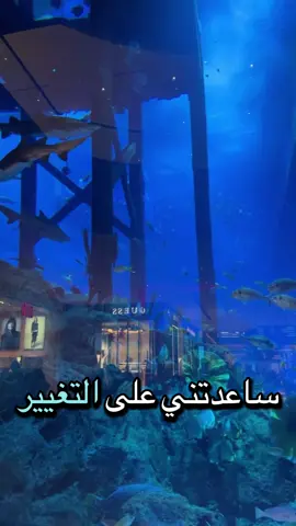 #communityfest2025 #التغيير 