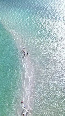 ✨ Bạn đã bao giờ đi bộ giữa đại dương chưa? Không phải Maldives, càng không phải thiên đường xa xôi nào cả – Cô Tô mới là nơi đang “gây sốt” với Con đường cát giữa biển Thanh Lân đẹp như tranh vẽ. 🌊 Một dải cát trắng mịn màng uốn lượn giữa hai làn nước xanh biếc – hiện lên chỉ khi thủy triều rút. Đứng giữa nơi ấy, bạn như lạc vào một thế giới khác – nơi biển cả và trời mây hòa làm một. 📸 Mỗi bước chân trên “con đường tùy duyên” là một trải nghiệm vừa kỳ diệu, vừa bí ẩn. Không chỉ là nơi check-in sống ảo, đây còn là món quà hiếm có của thiên nhiên – chỉ xuất hiện vài ngày mỗi tháng, ai đến đúng lúc mới thấy! 💬 Nếu bạn đang tìm một chuyến đi chạm vào điều kỳ diệu, đừng bỏ lỡ hành trình khám phá đảo Thanh Lân – và tự mình bước đi giữa lòng biển cả. #ConDuongCatGiuaBien #DaoThanhLan #KhungCanhKyDieu #CheckinCoto #BucTranhSongDong #ConDuongTuyDuyen #ReviewCoto #DuLichCoTo #SongAoKhongGocChep #DaoNgocDongBac #TikTokTravelVN #HanhTrinhKyDieu #BienDepVietNam #reviewcoto #conduongtuyduyen #honcachep #daocoto #coto 