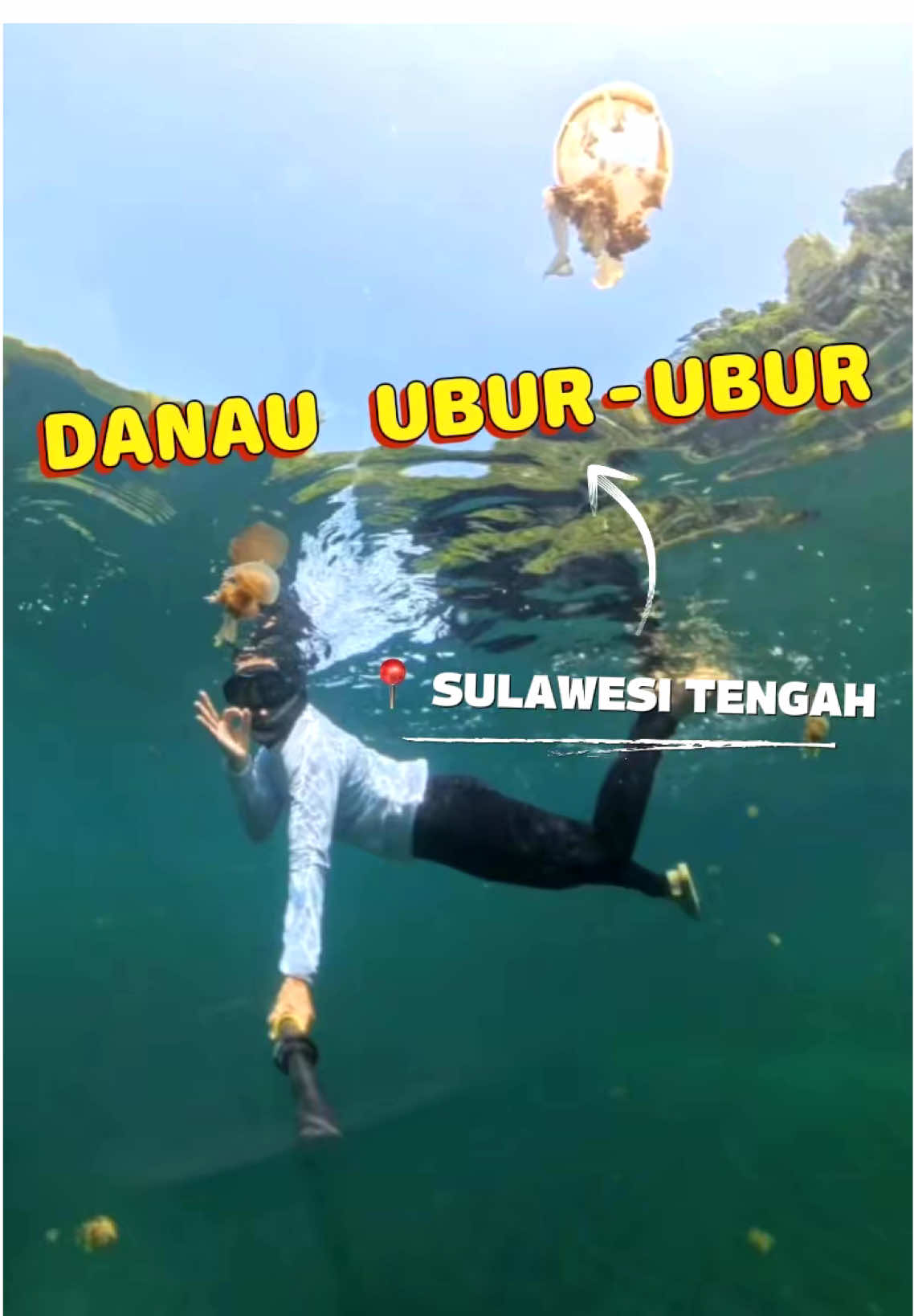 Siapa nih yang sudah berkunjung ke danau ubur-ubur sulawesi tengah ?? Coba ceritain first impression kalian 😍 #fyp #fyppppppppppppppppppppppp #sulawesitengah #samboriisland #sultra #wisatasulteng #sulteng 