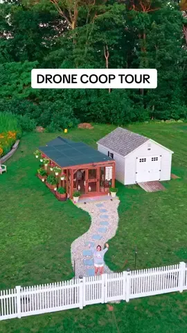 Views from above of our chicken villa 🤍🐓 #chickentok #chickensoftiktok #foryou #fyp #aestheticfarm #farmlife #chickencoopdesign #cutechickens #homesteading #homesteadaesthetic #dronefootage #droneshot 