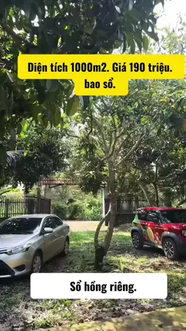Bán gấp 1000m2 giá 190tr nhà vườn sẵn  #banvuonsaurieng #datnghiduong #datvuonnghiduong #datvuongiare #banvuontraicay #bannhavuon #bandat #trend #xuhuong #nhadat 