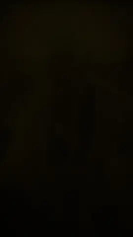 cái giá của sự bất tử là lần lượt nhìn người thân ra đi, để lại bóng lưng cô độc trăm năm. #hoagianghochibatluongnhan #vienthiencang #donghua #xuhuong #xh 