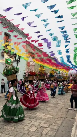 La Guelaguetza 2025 en Oaxaca #guelaguetza #oaxaca #oaxacamexico 