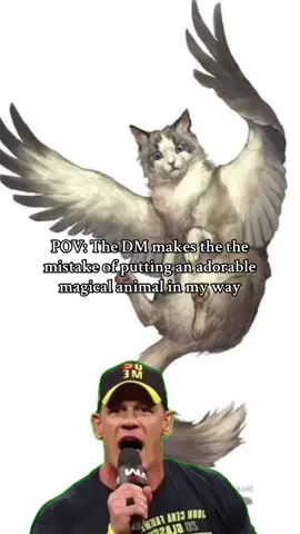 (D&D) Collecting pets like Pokémon #dnd #dndtiktok #dndmeme #dndtok #dndhumor #CapCut 