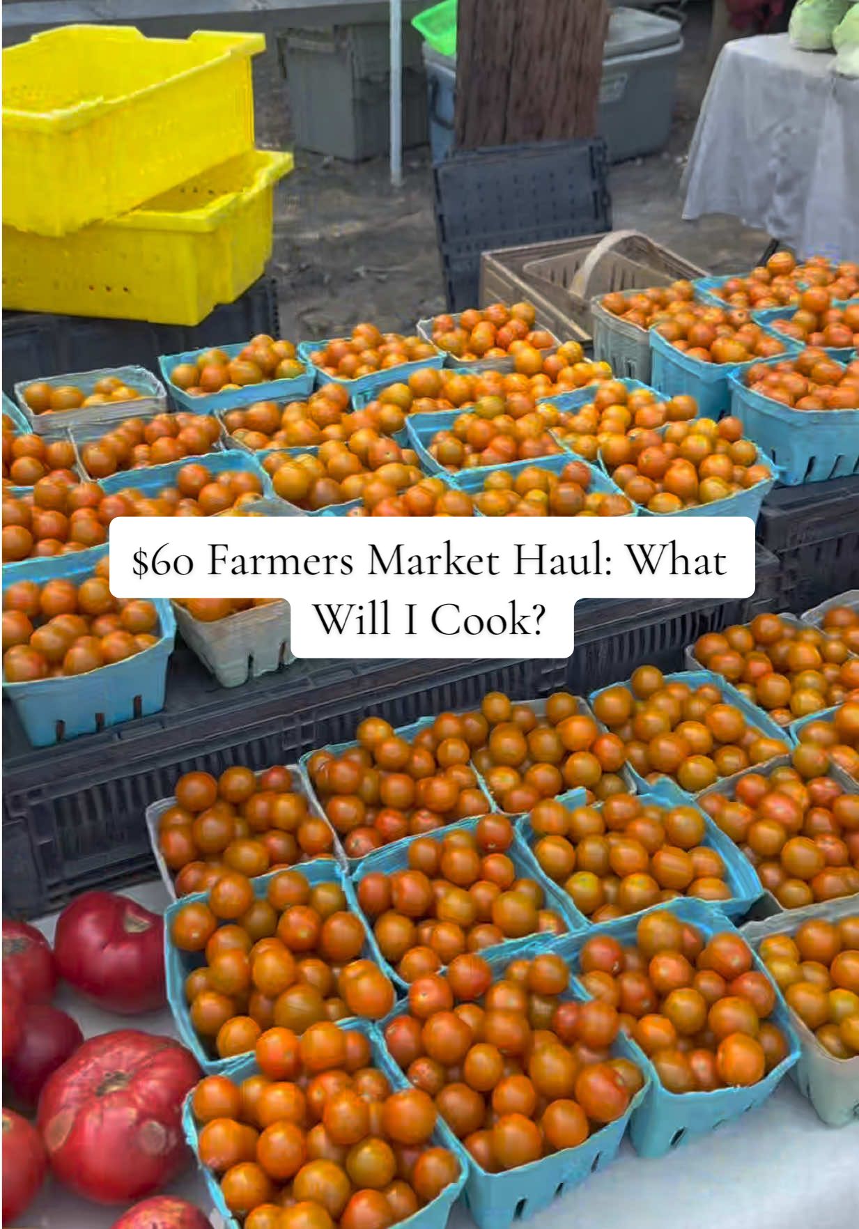 Is there anything better that farmer’s market in the summer? Drop a 🍑 if you want the jam recipe #farmersmarket #markethaul #shoppinghaul #summerproduce #summerfruit #fypシ #CapCut 
