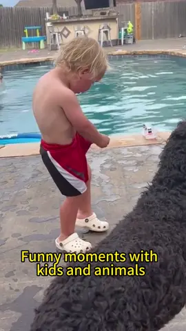Funny moments with kids and animals🤣🤣💕💕 #toddlersoftiktok #germanshepherd#funnymoments#kidstiktok#fail#funnyvideos#usa