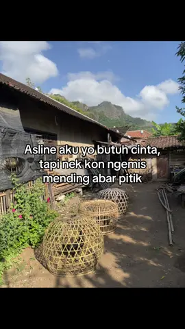 #ayambangkoksuper#ayambangkokindinesia#mangon#pama#fyp#beranda 