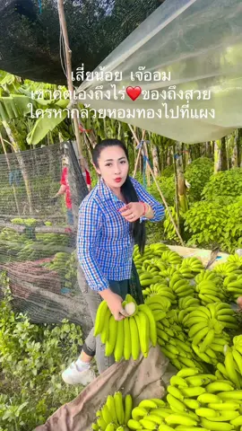 ร้านเสี่ยน้อยเจ๊ออม  จัดส่งของสวย#เจ้าของแบรนด์กันแดด #ลูกคนสวน👩🏻‍🌾🥰 #ลูกแม่ค้า #คนเพชรบุรี #วัวลาน #