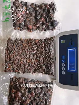 #gallstones #bovinos #cow #ox #热门 