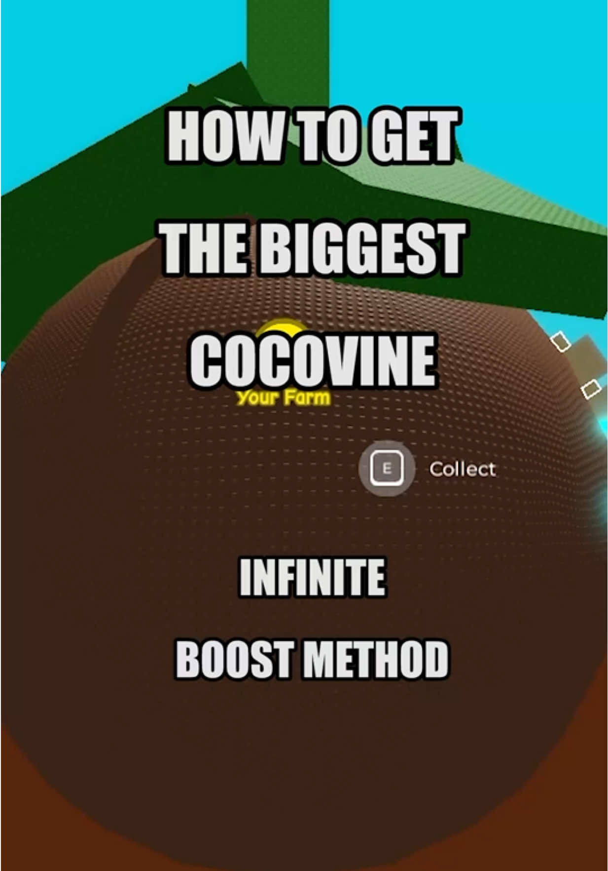 Cocovine + INFINITE Passive Boost Method is crazy #growagarden #fyp #cocovine #roblox 