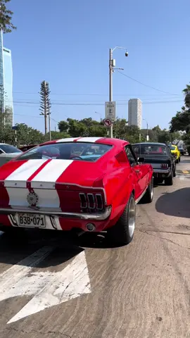Mustang  . . . #mustang #mustangmagazine #mustanglife #mustangnation #mustanggt              