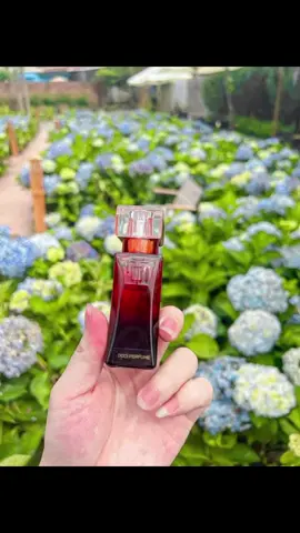 Mùi sang lưu hương lâu , chuẩn hàng chính hãng DoCI#kỷ niệm xưa 