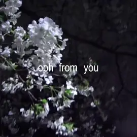 Black Sheep - Metric (slowed) // #lyricsvideo #music #songlyrics #blacksheepmetric #tiktoksongs #lyricsedit #audios 