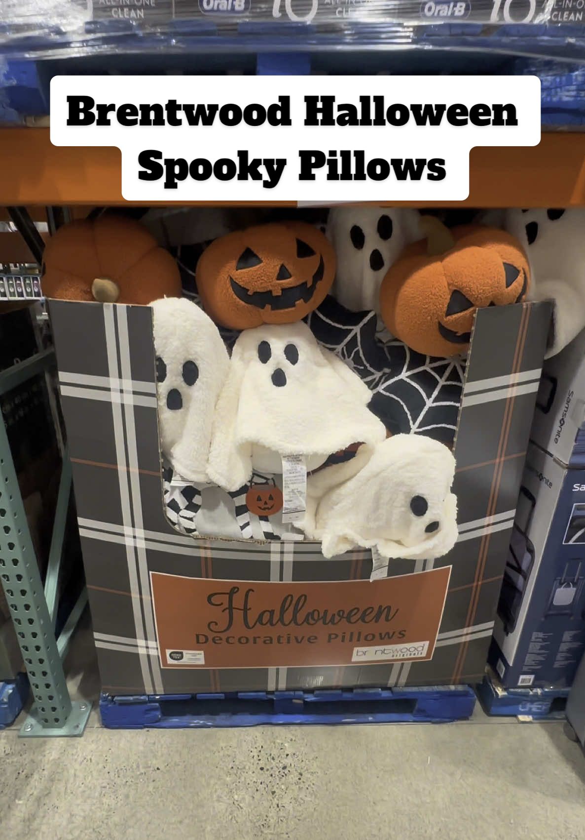 🎃🍂 Cozy up your home for the season! 🍂🎃 These Brentwood Originals Harvest & Halloween Decorative Pillows are the perfect touch of festive charm for fall! ✨ Features: • Jacquard woven & embroidered designs • Fun 3-D shaped styles • Soft polyester fiber fill • Indoor use only All this festive flair for just $10.99 at Costco! 🎉 👇 Let me know your favorite design in the comments and don’t forget to FOLLOW for more seasonal finds! #costcofinds #halloweendecor #fallhomedecor #costcodeals #holidaypillows #halloweenvibes #cozyhome 