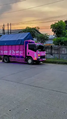 KurirPakan✌🏻😎 #pakanternak #pakancepat #dhafinputratransindo #fypシ゚viral #