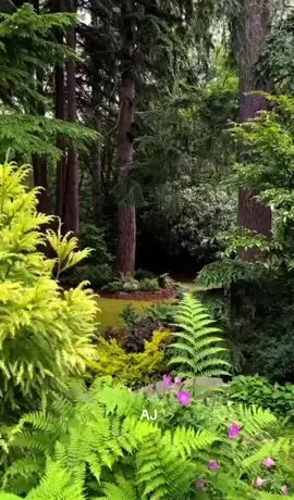 Lagu sendu kenangan indah. #tetapsemangatjalanihidup  #janganpernahmenyerah  #tiktokfyp 