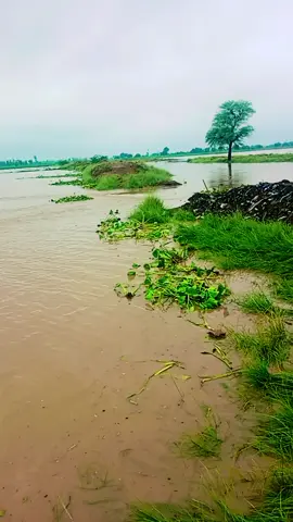 #پانی_کی🤣🤣🤣🤣🤣#foryoupage #foryoupage #foryoupage #foryoupage 