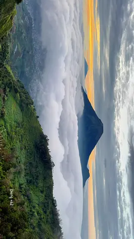 Lautan awan bukit sikunir durasi kurang lama #fyp #dieng #sunrise #sikunir #wonosobo 