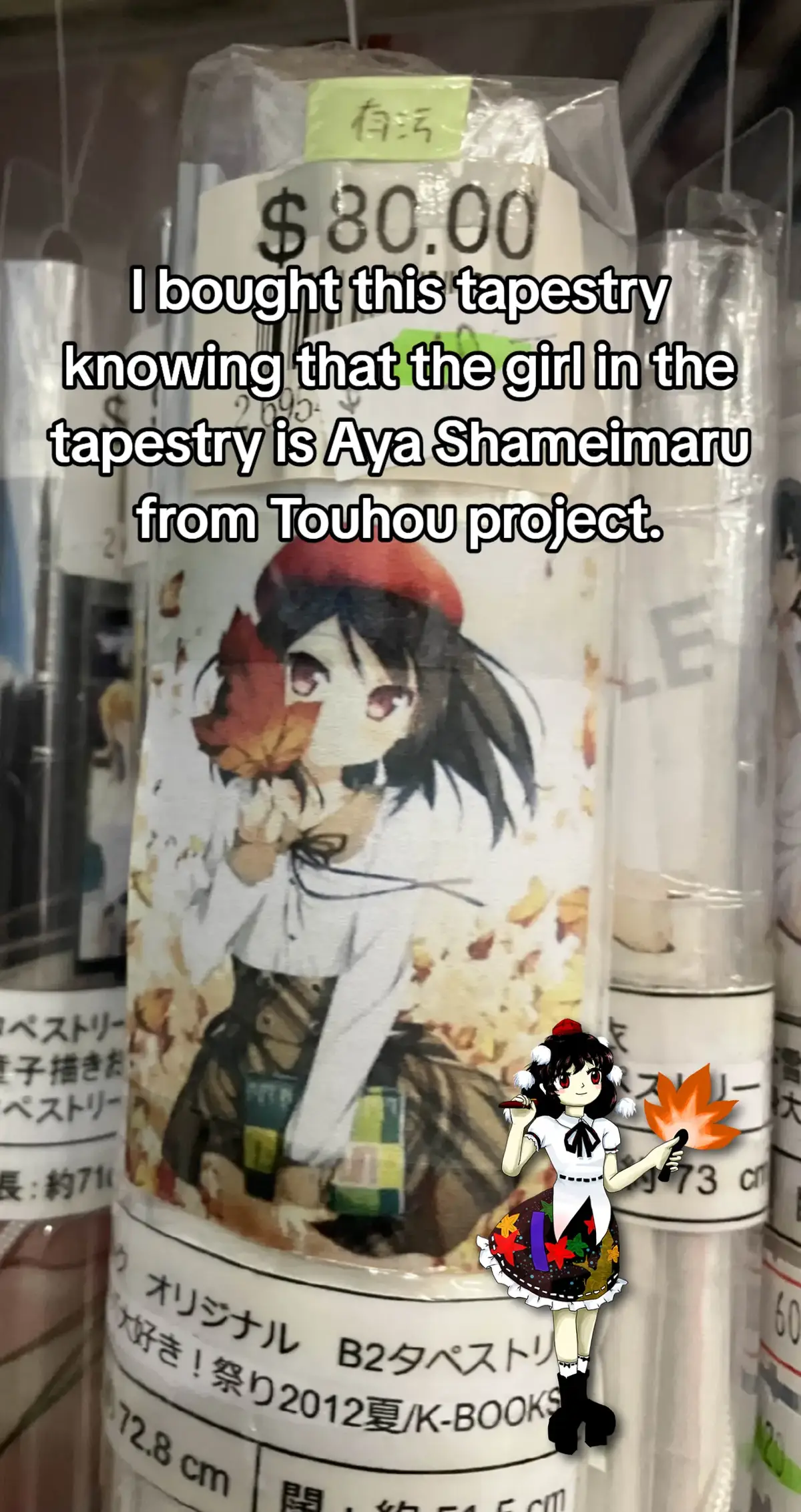 #touhou #ᗜˬᗜ #touhouproject #ayashameimaru 