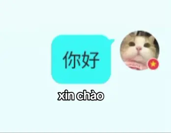 #CapCut phải lòng anh từ giây phút đầu#cg #yeetalk #yeetalk #yeetalkapp #chemchepxaotoi #acquyngauloi #meomeo #traideptrungquoc #xuhuongmanh🍀🍀🍀 #xhhhhhhhhhhhhhhhhhhh 