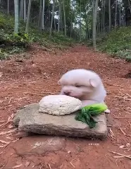 I wish bad things didn’t happen #fyp #abasement #targetaudience #why #yearn