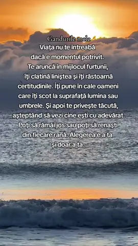 #gandurilemele 