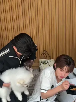 🍓 : อย่าแย่งข้าว 😾 ความจริงแล้วใครจะเเย่งข้าวน้องก้องนะ?    🤨🦊🍓 #ThomasKong #โทมัสก้อง #tthomastc #kongjiro #โทมัสธีร์ทัศน์ #ก้องจิโร่ 