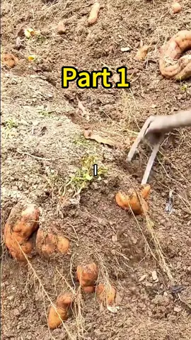 I woke up from a two-week coma to find my brother living in my apartment, my furniture sold, and my mother planning to move me into her basement — all while I was fighting for my life. Plus Updates