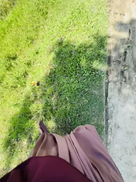 Kintoo se etah janee nah 🤧✌🏿#sobai_support_korben_ #fppppppppppppppppppp #foryoupageofficiall #vairalvideo 