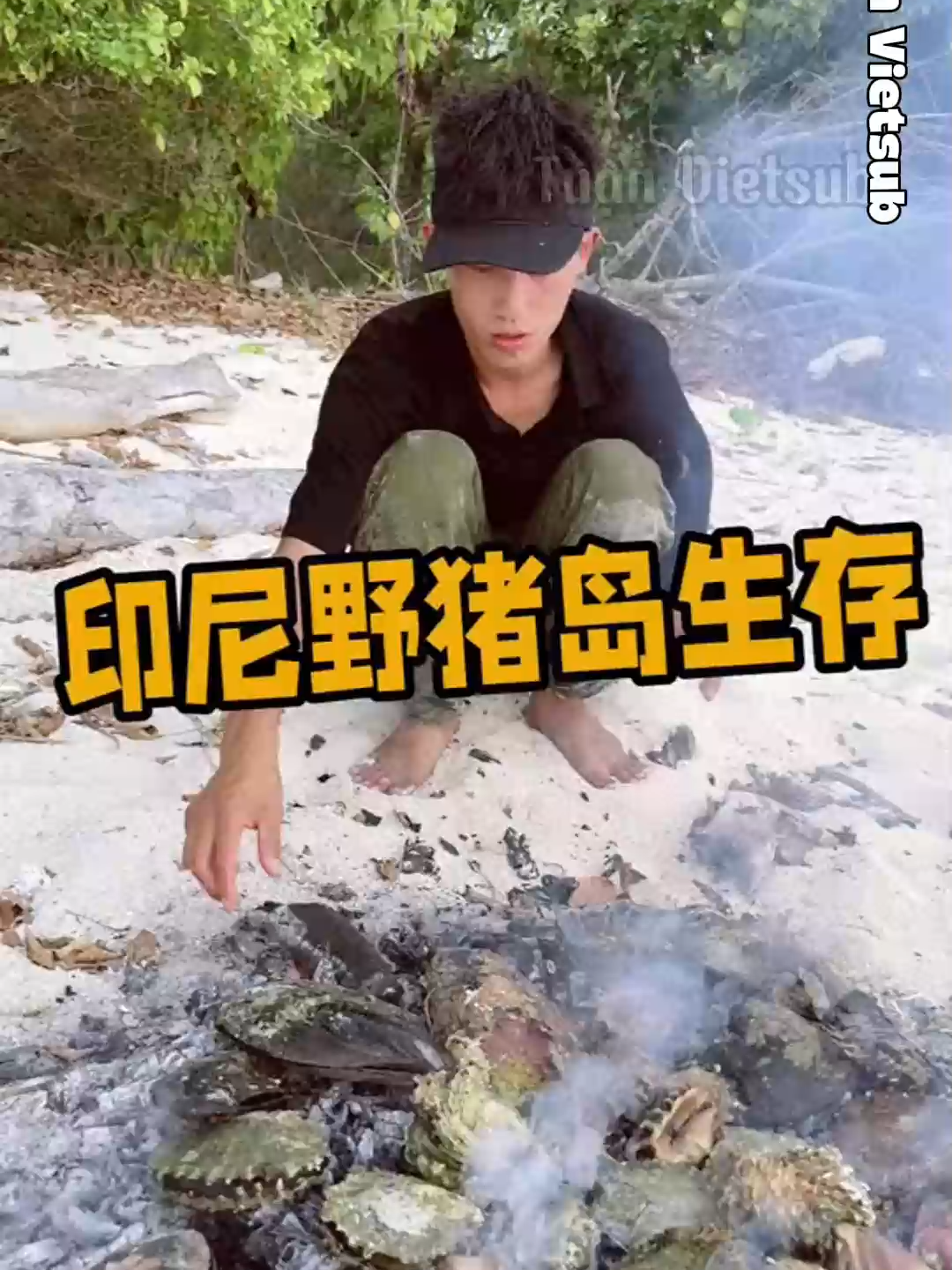 PHẦN 1: SINH TỒN TRÊN ĐẢO LỢN RỪNG #tuanvietsub #sinhtonhoangdao #xuhướng #mukbangvideo #sinhton #sinhtonhoangda #vietsub #sinhtontrongrung