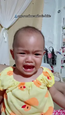 มะเหมี่ยวเป็นเด็กร่าเริง ไม่ค่อยร้องถ้าไม่มีใครทำน้องเจ็บ แต่นี้ร้องเพราะวิตามินหมด555555555 