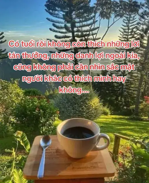 Sống chậm lại, nghe nhiều hơn hiểu nhiều hơn, nhưng chỉ thích im lặng, càng biết nhiều con người ta trở nên ít nói, hiểu được những được mất của cuộc đời như một định luật tự nhiên không cầu không khẩn, đôi khi một giấc ngủ ngon còn quý hơn những ồn ào ngoài kia chẳng biết đâu thật giả...