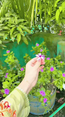 জীবনটাই পার করে দিলাম ভুলে , সঠিক সিদ্ধান্ত নিতে আর পারিনি,  ঠিক যেখানে গেলে নিজেকে গুছিয়ে নিতে পারবোনা সেইখানেই থাকি 😔#unfrezzmyaccount #tiktokviral #viralvideo #tiktok #tiktokbangladesh🇧🇩 #foryou #tiktokoficia @TikTok 
