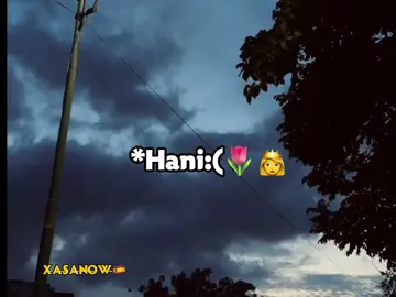 love saarr ❤️‍🩹  #viewsproblem💔😔 #ppppppppppppppppppppppp #foryoupage #viewsproblem😭😭😭 #hani ❤️‍🩹
