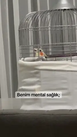 Hepimiz böyle değil miyiz?🤣 #mentalsağlık #mizahtürkiye #keşfet 