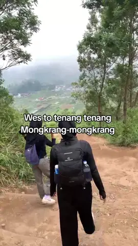 next lawu🥶#fyp #4u #pendakifomo #mongkrang2194mdpl 