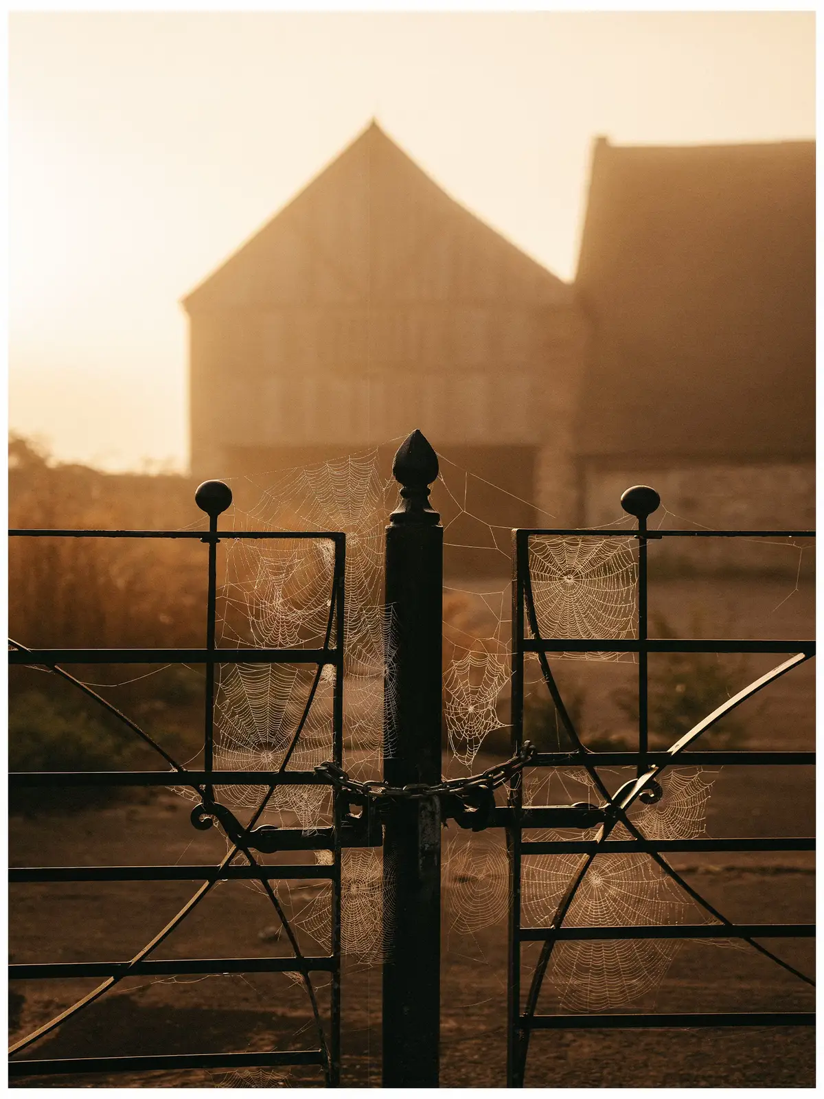 Some of my photos where the light just showed up, because it doesn’t always. Golden, glowy, sometimes a bit chaotic but always a reminder of why I love picking up a camera and being in the outdoors. As much as I am an advocate for making photos in all conditions I am without question a chaser of the light.  How about you? #photographer #photos # #carousels #storytelling #storytellingphotography #moments #sonyalpha #photocollection #photooftheday #photos #photographers #chasingleitz #lightchaser #kodakmoment #june #photographyideas #photoediting #warmtones #colourpalette #newfeature #photographydaily #thisweekoninstagram #selftaught #sharing #photographer #artstagram #art #photocollection #almostperfect #inspiration #photographyinspiration 