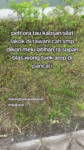 wong tuek ge dolanan#pshtindonesia22 #pshtpusatmadiun #pshtjaya #pshtblitar #mblitar24jam #fyp #setorywa 