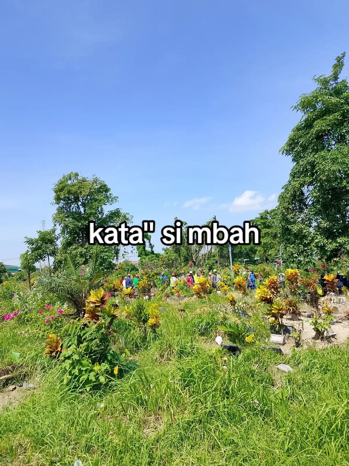 #keretojowo #fyppppppppppppppppppppppp 