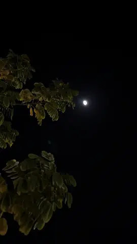ذندگی کو ایسا بنا دے یا اللّٰہ  کہ خوشی ملے تو سجدہ کرلوں اور غم ملے تو صبر کر لوں۔🤲🏻🥹❤️ @KashMiri_kuRii🧸🍁 #aesthetic #moon #1millionaudition #vibes #night #viral #foryou #foryoupage #viralnaat #trending #growmyaccount #islamic_video #chand #nature #videography #viral 