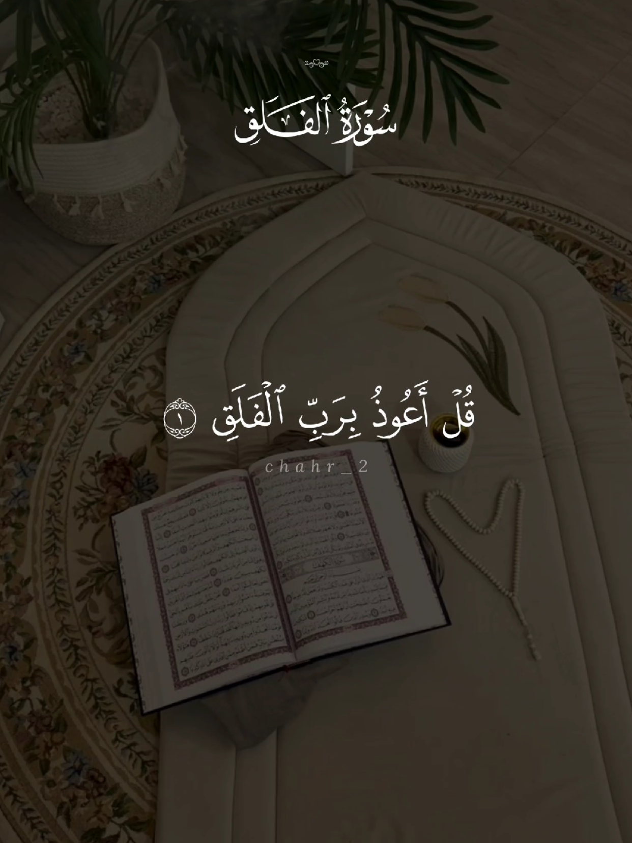 سورة الفلق 🤍 #quran #القرآن #quran_alkarim #القران_الكريم #qu_ran_n #تلاوة_خاشعة #qu_ran_n؛؛قرآن #chahr_205 #اجر_لي_ولكم #islamic_video #صدقه_جاريه #quran_114st 