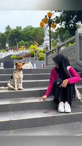 The sincere love of dogs 🥰❤️ #pet #cat #dog #cute #animals #foryou #typ 